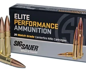 SIG 300 AAC OT MATCH 125GR