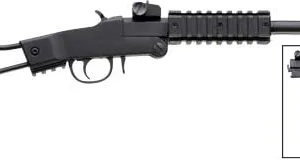 CHIAPPA LITTLE BADGER .22LR