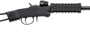 CHIAPPA LITTLE BADGER .22WMR