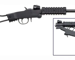 CHIAPPA LITTLE BADGER .17HMR